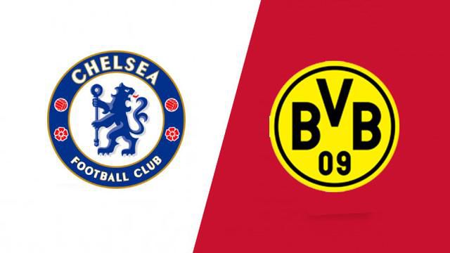 田圭读什么