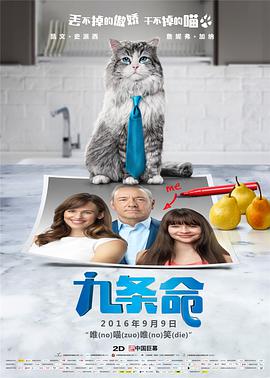 在线手机视频
