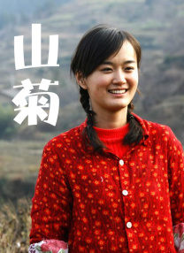国内精品在线视频