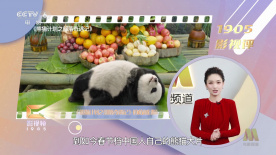 久热精品香蕉在线视频